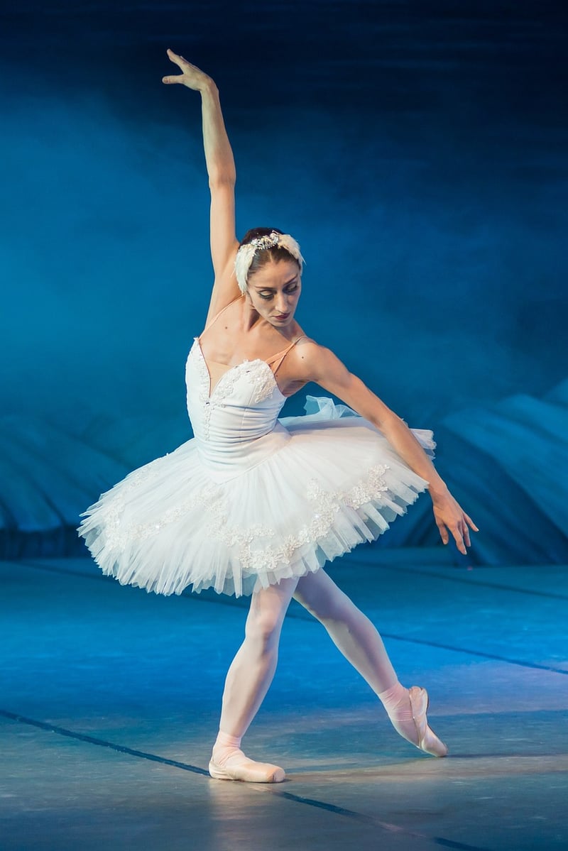 Ballet Performance