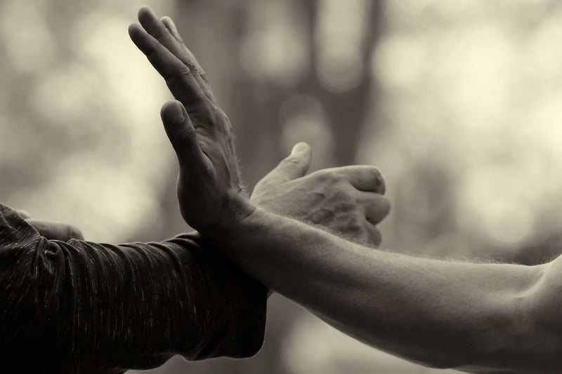 Tai Chi Chuan Forms